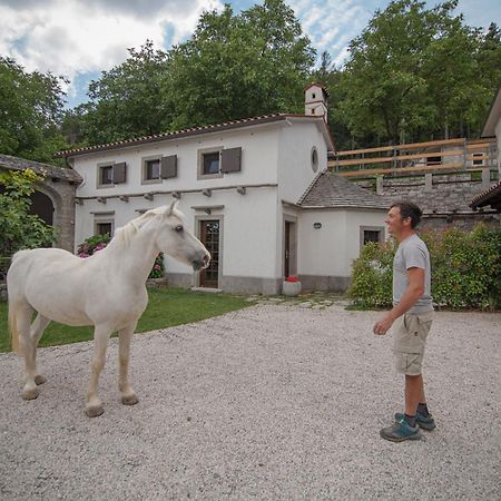 Tmbin'S Barn - Nature, Horses, Family Sežana Buitenkant foto