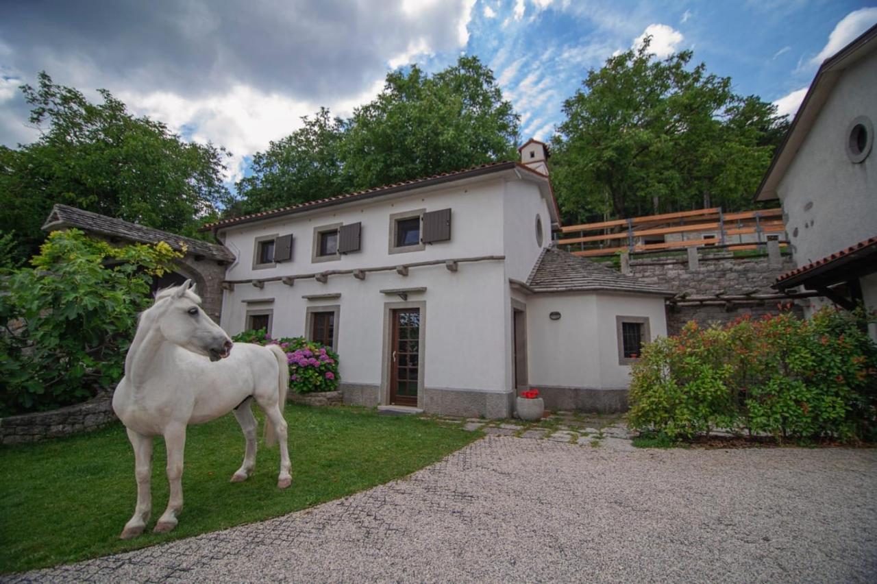 Tmbin'S Barn - Nature, Horses, Family Sežana Buitenkant foto
