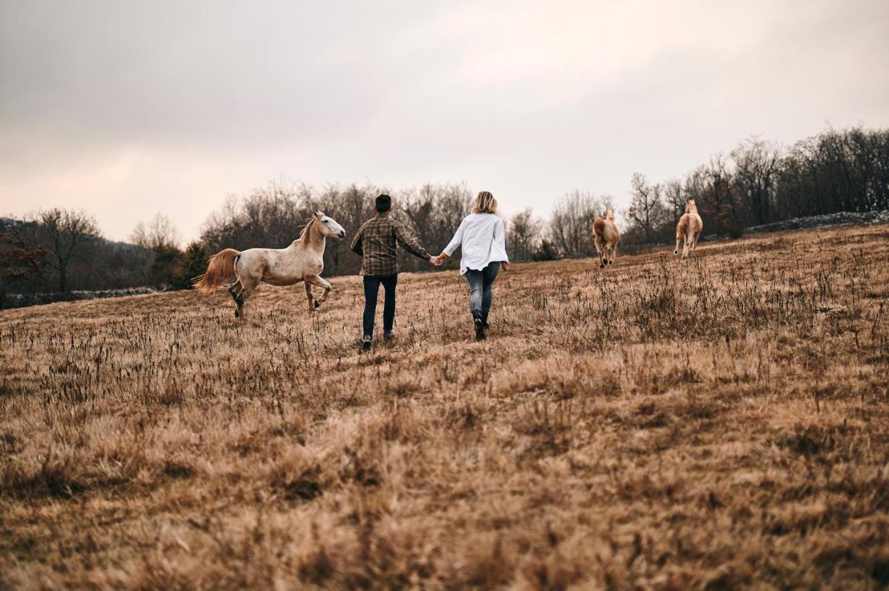 Tmbin'S Barn - Nature, Horses, Family Sežana Buitenkant foto