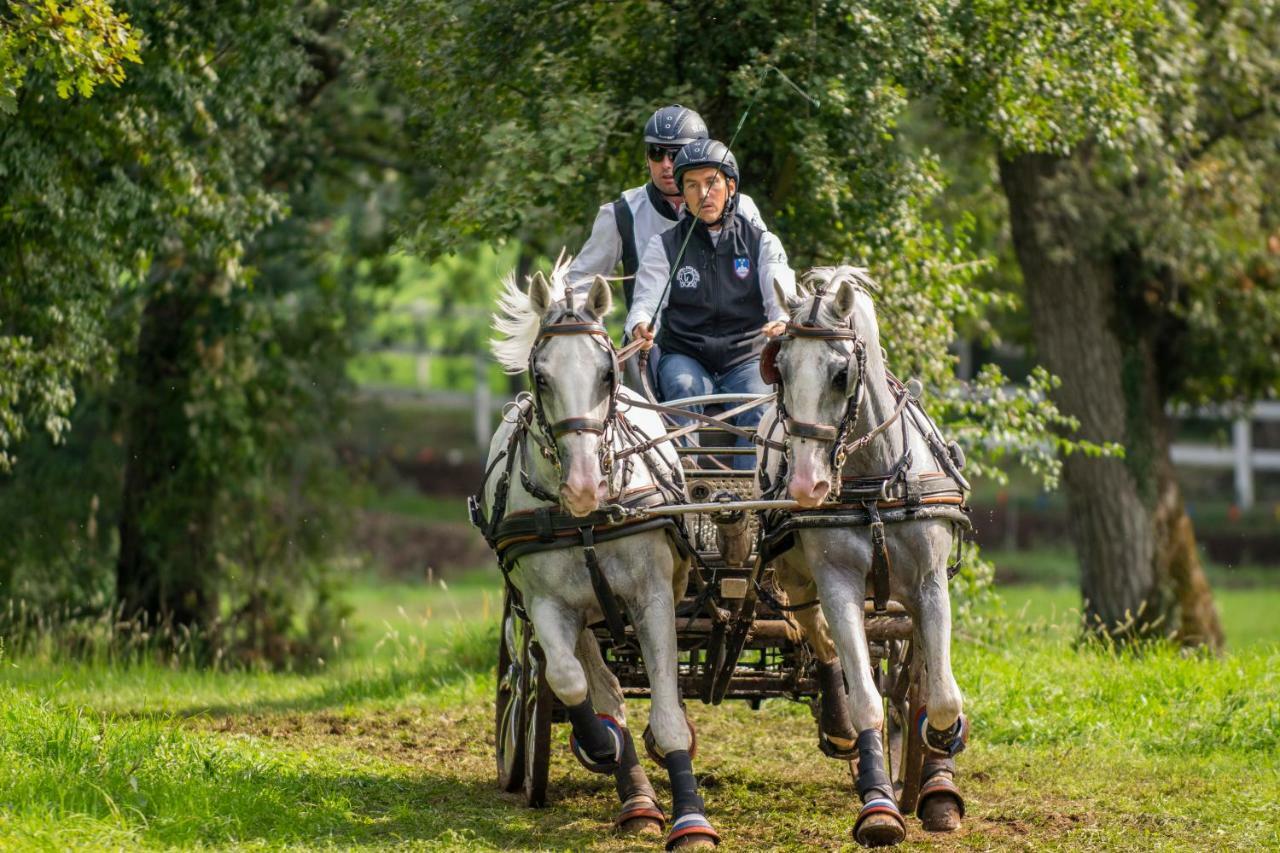 Tmbin'S Barn - Nature, Horses, Family Sežana Buitenkant foto
